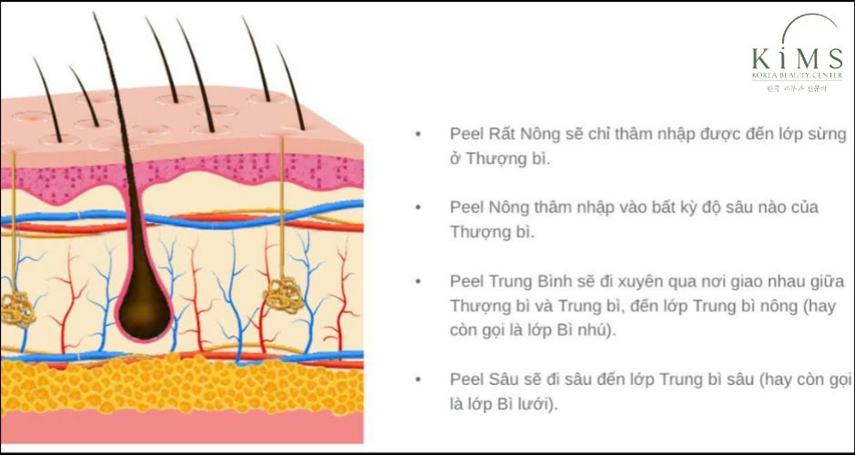 Tác động của peel da đến các lớp da.
