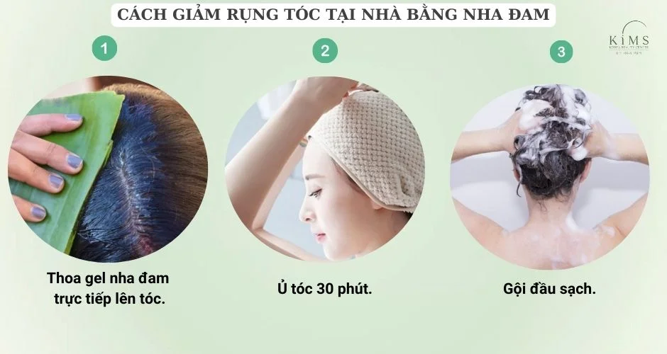 Cách giảm rụng tóc tại nhà bằng nha đam.