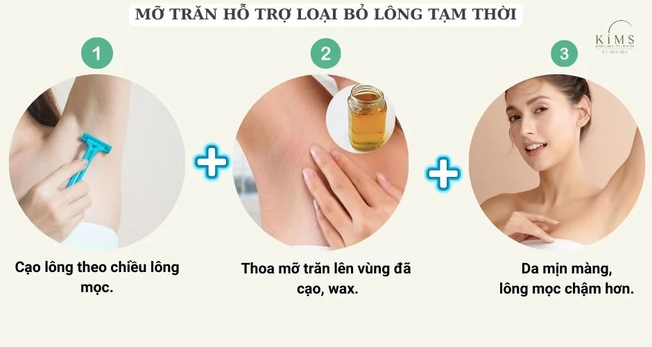 Mỡ trăn hỗ trợ triệt lông.