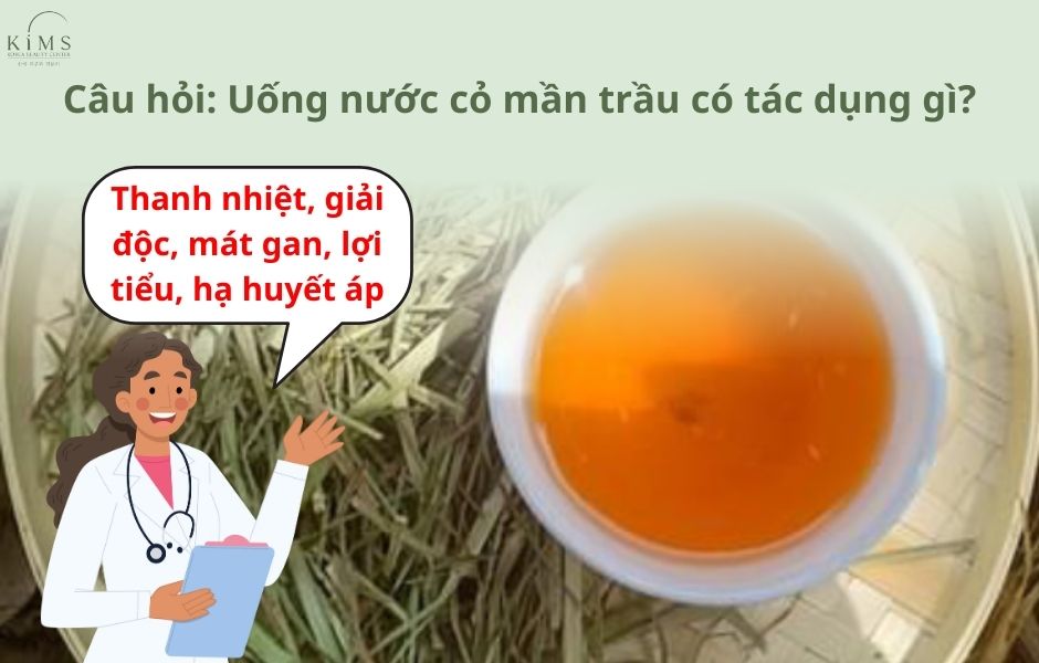 cỏ mần trầu trị rụng tóc