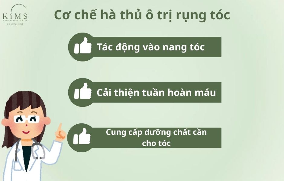 Hà thủ ô trị rụng tóc
