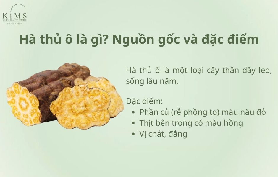 Hà thủ ô trị rụng tóc