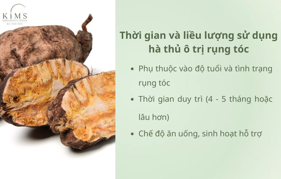 Hà thủ ô trị rụng tóc
